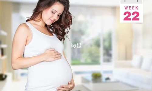 怀孕8个月可以吃瑶柱虾粥吗网—知名的孕妇能吃瑶柱煲粥吗网站,分享孕妇能吃瑶柱煲粥吗知识