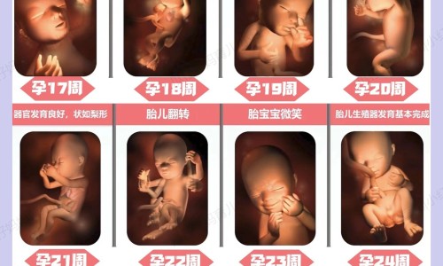 怀孕可以吃瑶柱煲汤吗-怀孕8个月可以吃瑶柱虾粥吗网—知名的孕妇能吃瑶柱煲粥吗网站,分享孕妇能吃瑶柱煲粥吗知识